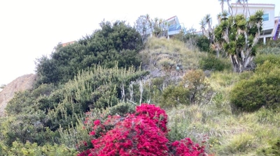 Spring Photo taken by Dr. Kinaly Photo