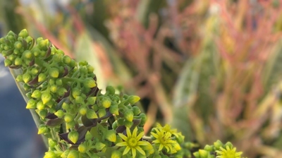 Spring Photo taken by Dr. Kinaly Photo